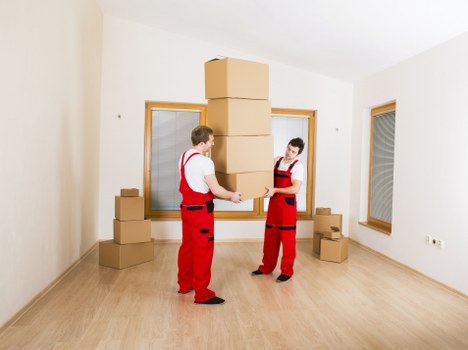 Careful packing and secure transport inside a removals van